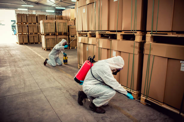 Best Pest Prevention Services  in Affton, MO