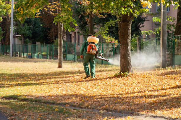 Professional Pest Control in Affton, MO